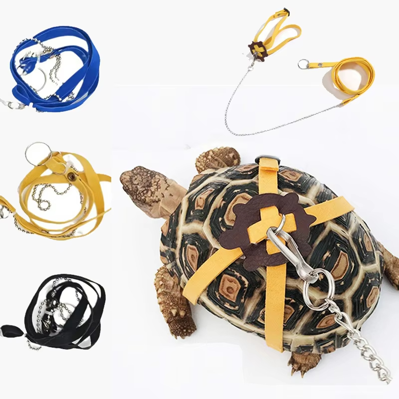 Turtle Traction Belt Control R - Water Dish Reptile ulasan dan harga
