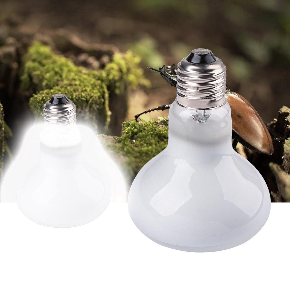 Turtle Heater Heat Lamp Baskin - Basking Bulb Halogen ulasan dan harga