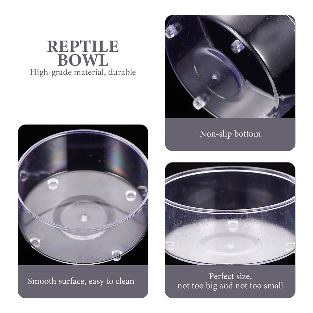 10Pcs Acrylic Reptile Food Dis - Water Dish Reptile ulasan dan harga